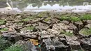 Terlihat dasar danau buatan yang kering karena musim kemarau di Taman Archipelago, Taman Mini Indonesia Indah (TMII), Jakarta, Sabtu (15/9). Sejumlah perahu angsa terpaksa tidak beroperasi akibat debit air menyusut. (Liputan6.com/Fery Pradolo)