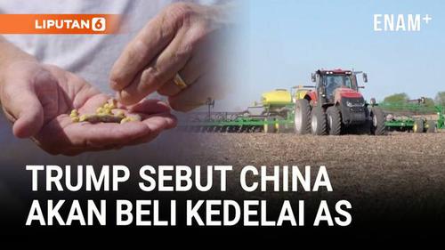 Trump Umumkan Tarif Turun dan China Akan Beli Kedelai AS