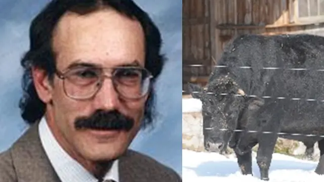 Foto Dok. Berbagai Sumber