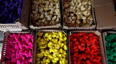 Anak ayam warna-warni saat ditawarkan penjual di pasar unggas kecil di Jakarta 18 Mei 2016. Ayam-ayam diwarnai dengan cara mencelupkan mereka dengan pewarna disebuah ember. (REUTERS / Darren Whiteside)