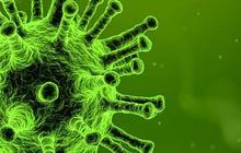 Cara Penularan Virus Nipah antar Manusia, Ketahui Ciri-ciri Orang yang Terinfeksi