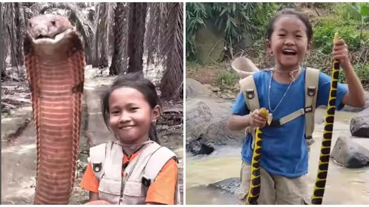 Bikin Merinding, Bocah Ini Mampu Taklukkan Ular Cincin Emas hingga King Cobra