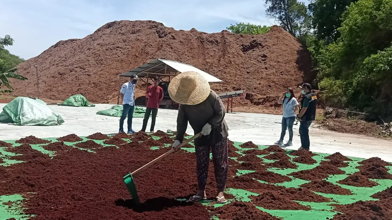 Tidak kurang dari 75 ton cocopead asal Sulut untuk pertama kalinya berangkat menuju Negeri Gingseng, Korea Selatan.