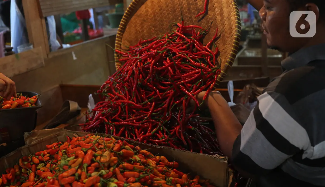 Pedagang memindahkan cabai untuk dijual di Pasar Senen, Jakarta, Selasa (14/1/2020). Pada musim penghujan tahun ini harga berbagai macam cabai di pasar tersebut  meroket dari hanya Rp20 ribu per kilogram naik hampir mencapai Rp80 ribu. (Liputan6.com/Angga Yuniar)