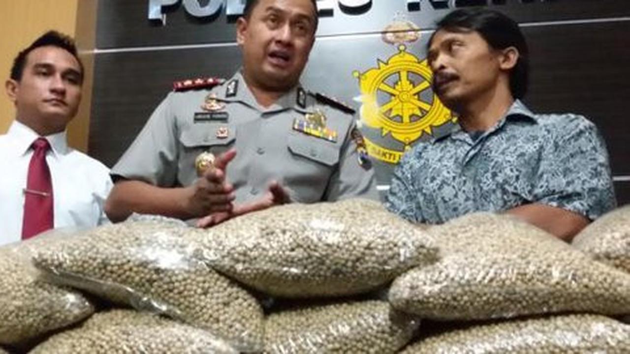 Polres Klaten amankan 25 kg merica palsu