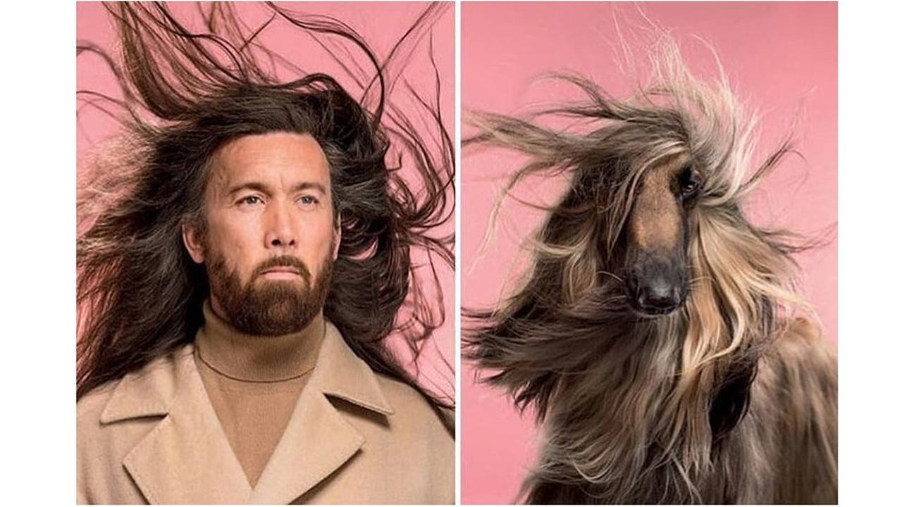 pose unik anjing dan pemilik