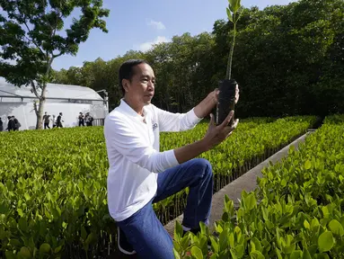 Presiden Indonesia Joko Widodo menanam pohon mangrove dalam rangkaian agenda pertemuan KTT G20, di Hutan Mangrove Taman Hutan Raya Ngurah Rai, Denpasar, Bali, Indonesia, Rabu (16/11/2022). Agenda di Taman Hutan Raya Mangrove Ngurah Rai Bali merupakan bagian dari tema yang dipilih Presiden Joko Widodo dalam pelaksanaan KTT soal menangani krisis iklim. (AP Photo/Alex Brandon via Pool)