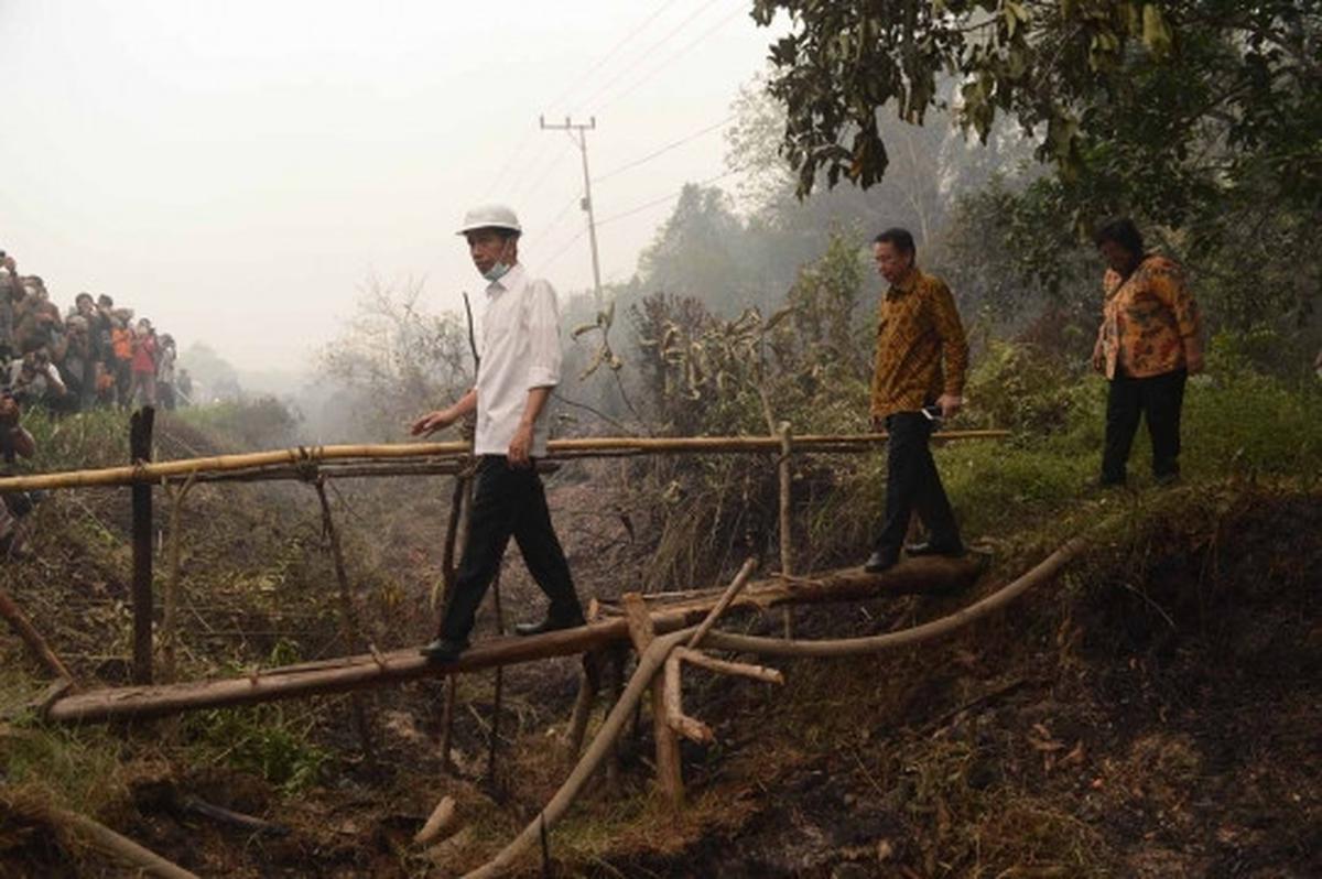 Aksi Jokowi terus pantau pemadaman lahan gambut di Kalimantan