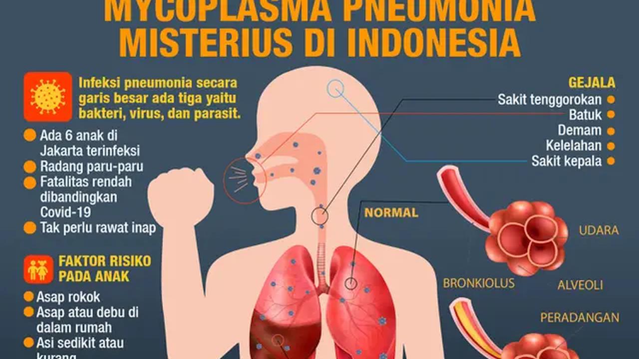 INFOGRAFIS JOURNAL_ Fakta Kasus Mycoplasma Pneumonia Misterius di Indonesia (Liputan6.com/Abdillah)