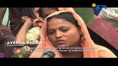Bertaruh nyawa menyeberangi Sungai Naf di Teknaf dengan berjalan, pengungsi Rohingya berusaha sekuat tenaga menuju perbatasan Bangladesh.