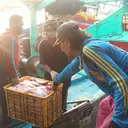 Awak Kapal Perikanan Wajib Punya Sertifikat Kompetensi hingga BPJS Ketenagakerjaan