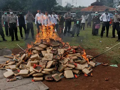 Petugas membakar kemasan ganja di Mapolsek Palmerah, Jakarta Barat, Senin (15/6/2015). Barang bukti yang dimusnahkan berupa 10.286 botol miras, 561 kg ganja, 1,4 kg sabu, 7.668 butir ekstasi, 1.000 butir psikotropika. (Liputan6.com/Johan Tallo)
