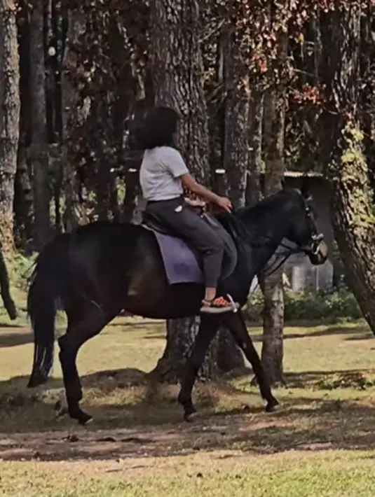 Bagaimana menurutmu, Sahabat FIMELA? [Foto: Instagram/therealdisastr]