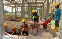 IIF Raih Pendanaan Rp1,3 Triliun untuk Kebut Pembangunan Infrastruktur Berkelanjutan