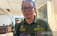 Bapanas Kawal Ketat Mutu Beras Ekspor ke Malaysia, Pastikan Sesuai Standar Internasional