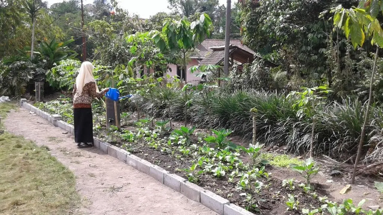 desa cokelat di lereng merapi