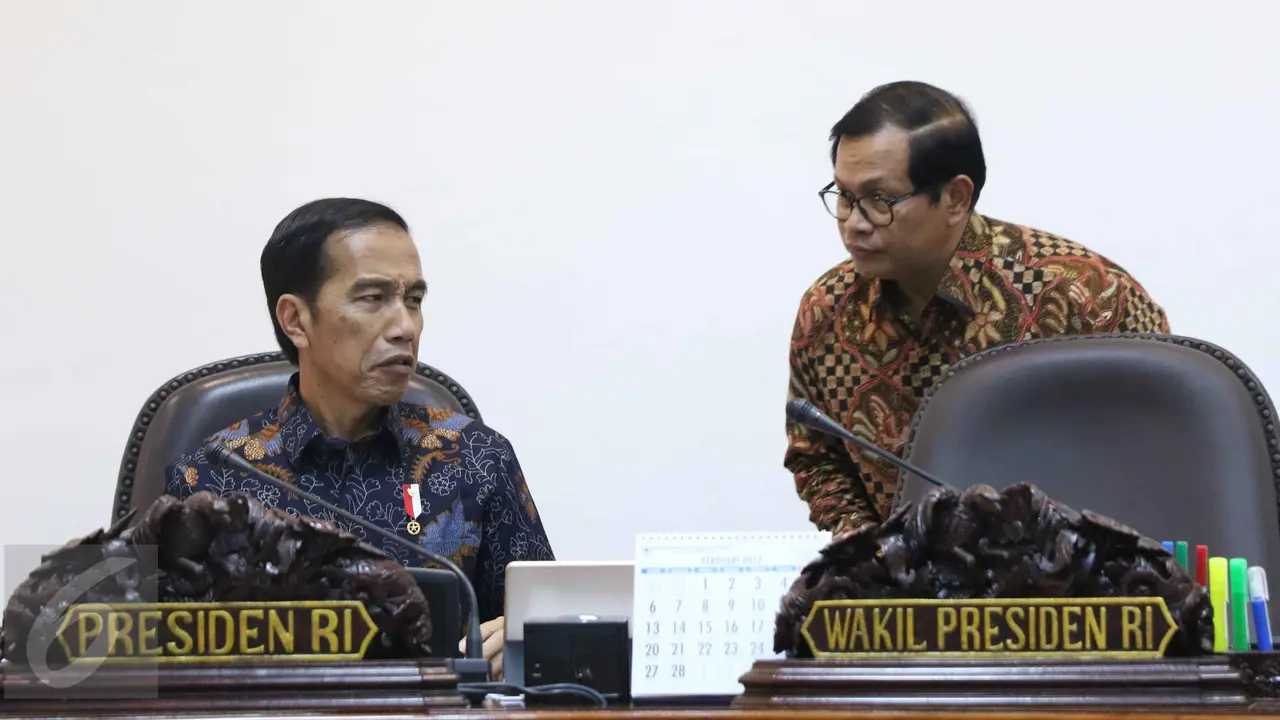 Jokowi Pimpin Rapat Terbatas Penghapusan Penggunaan Merkuri