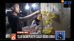 Meski telah terbungkus plastik, resiko terkontaminasi kuman masih ada.
