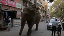 Dua orang pria menaiki seekor gajah melintasi jalan raya kawasan Nizamuddin, New Delhi , India , 26 Februari 2016.(REUTERS / Cathal McNaughton)