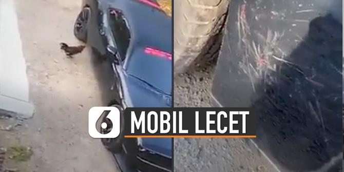 VIDEO: Duh, Mobil Lecet Gara-Gara Ayam Ngamuk