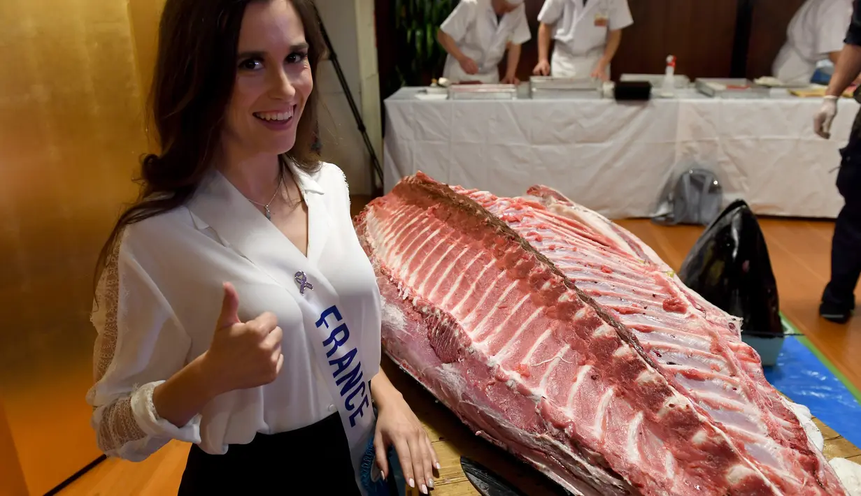 Miss Prancis, Maeva Balan-Merceron berfoto bersama daging ikan tuna sirip biru yang akan di buat menjadi Sushi di Tokyo, Jepang (12/11). Malam final Miss Internasional akan digelar pada 14 November 2017 di Tokyo. (AFP Photo/Toshifumi Kitamura)