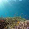 Pusat Data AI di Dasar Laut, Solusi Cerdas atau Masalah Baru?
