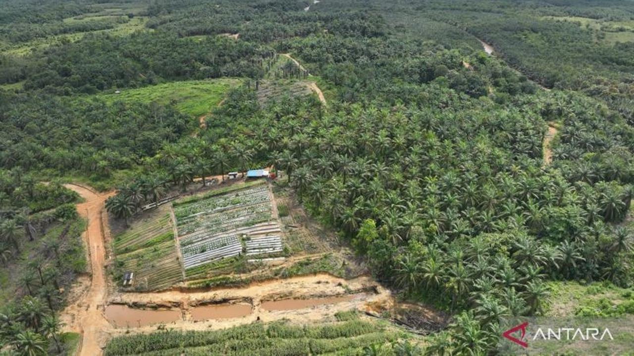 Bank Tanah Dampingi Warga Terdampak PSN Kelola Lahan Reforma Agraria di Penajam Paser Utara