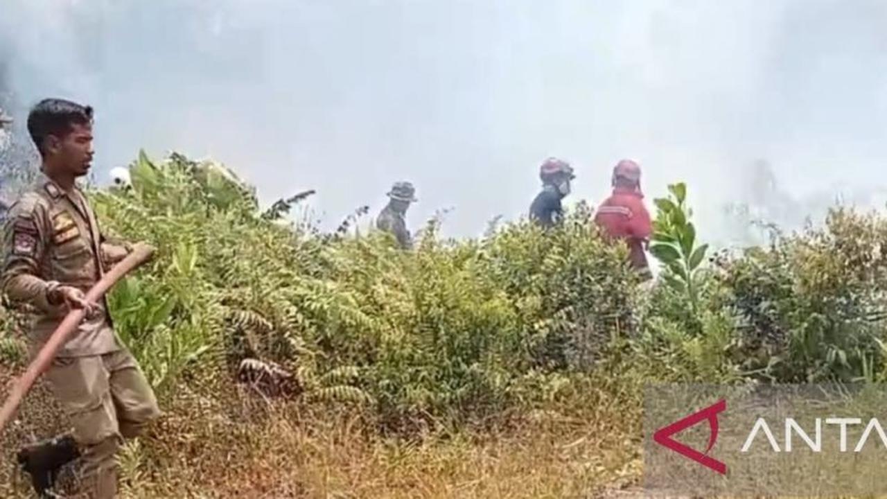 Satpol PP Bangka Gandeng Pemdes Perkuat Pengawasan Hutan Cegah Karhutla