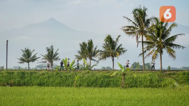 Foto: Sensasi Berlari Menyusuri Rel Kereta Api Antik, MesaStila Rails to Trails 2022 Jadi Salah Satu Lari Lintas Alam Paling Unik