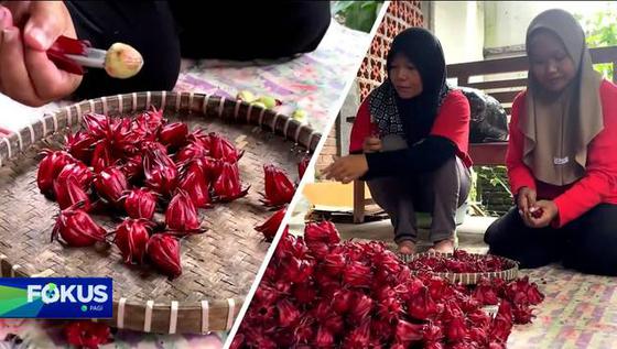 Fokus Pagi : Tawuran di Tengah Permukiman Padat di Gambir, Gunakan Sajam dan Air Keras