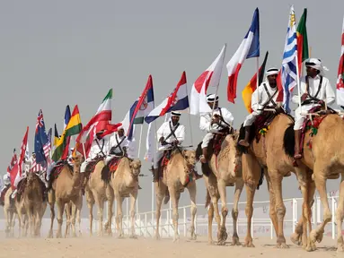 Parade unta dengan bendera saat Kontes Kecantikan Unta di Qatar Camel Mzayen Club, Ash-Shahaniyah, Qatar, 2 Desember 2022. Bersamaan dengan pesta sepak bola Piala Dunia 2022, Qatar juga menggelar Kontes Kecantikan Unta. (AP Photo/Alessandra Tarantino)