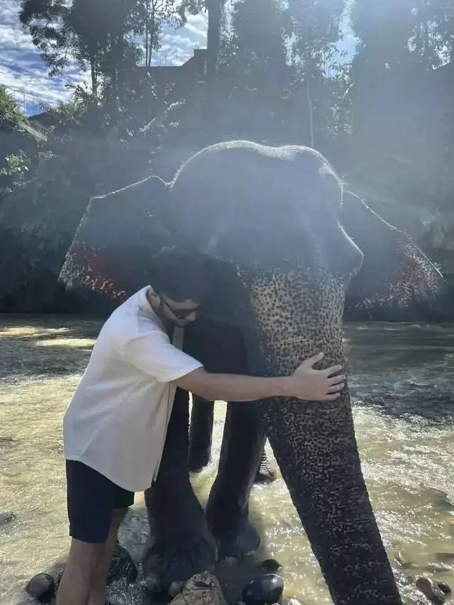 6 Momen Refal Hady saat di Tangkahan Ini Seru Main dengan Gajah