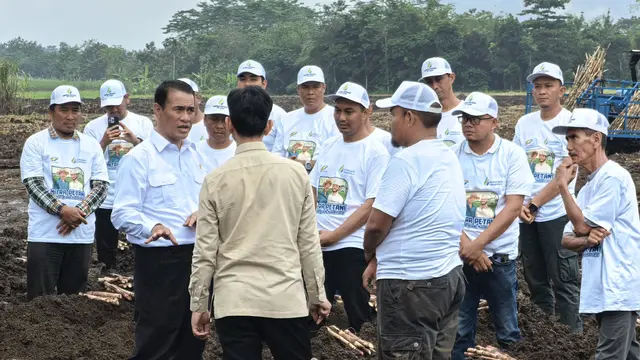Swasembada gula
