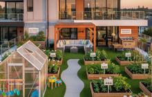 7 Model Rumah Ramah Lingkungan dengan Kebun Sayur di Rooftop