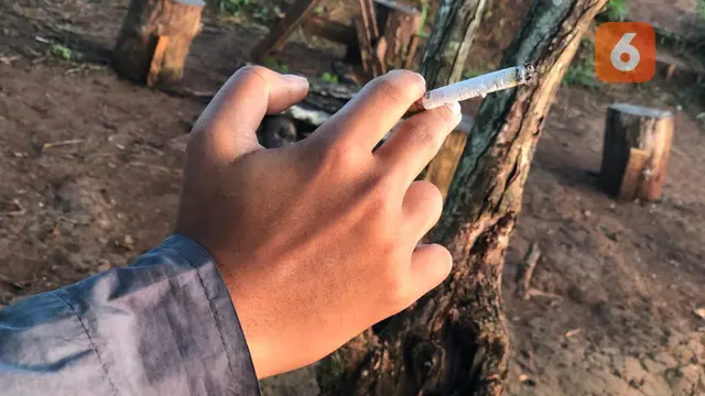 Rokok