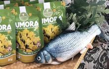 Kelompok Mahasiswa Ini Ciptakan Inovasi Camilan dari Ikan Tuna dan Daun Kelor, Kini Sukses jadi UMKM Binaan BRI