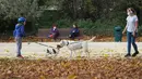 Sejumlah orang mengajak jalan-jalan anjing peliharaan mereka di Cinquantenaire Park di Brussel, Belgia, pada 8 November 2020. Kasus COVID-19 global melampaui angka 50 juta pada Minggu (8/11), menurut lembaga Center for Systems Science and Engineering (CSSE) di Universitas Johns Hopkins. (Xinhua/Zhen