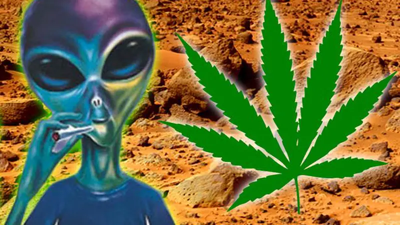 Ganja Bisa Tumbuh Subur di Planet Mars?