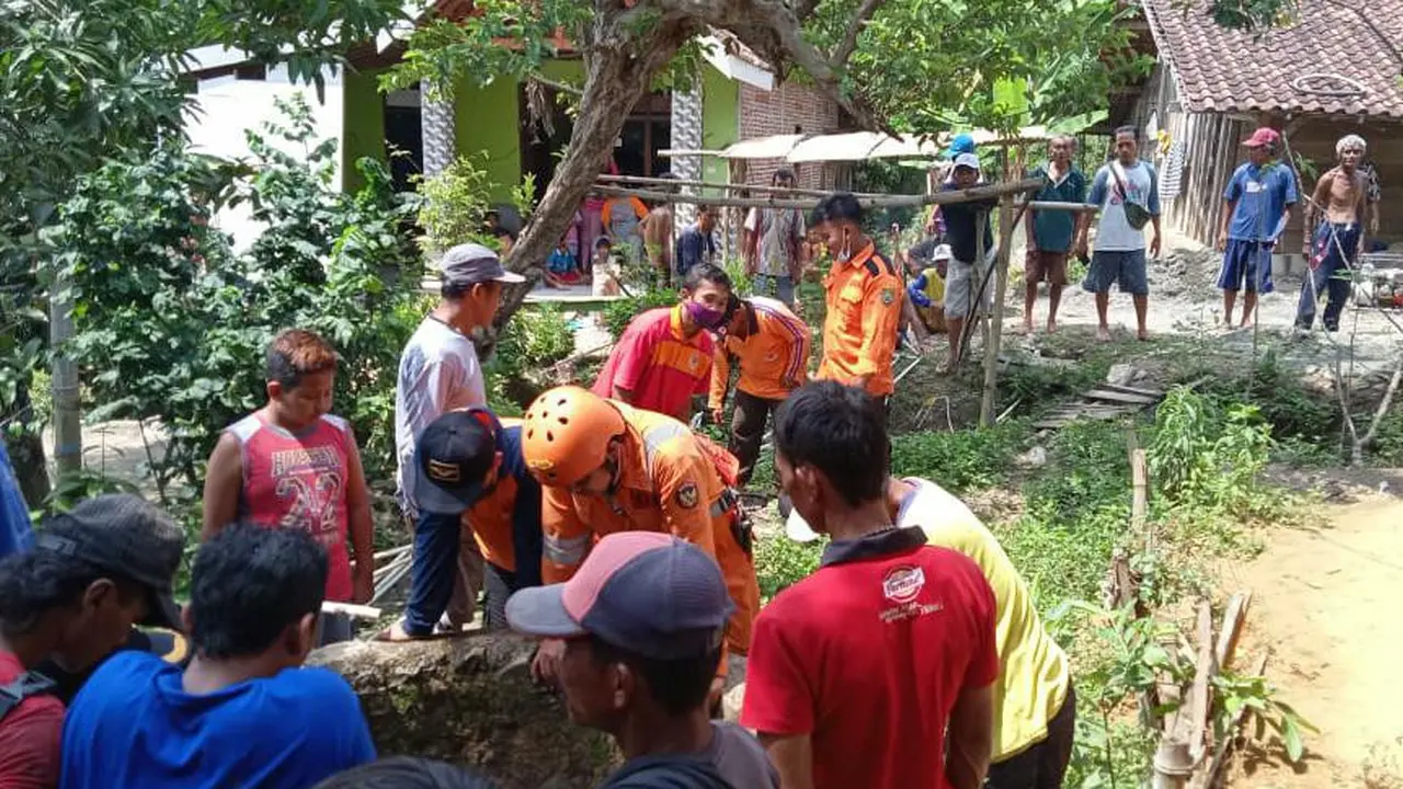 Sapi masuk Sumur