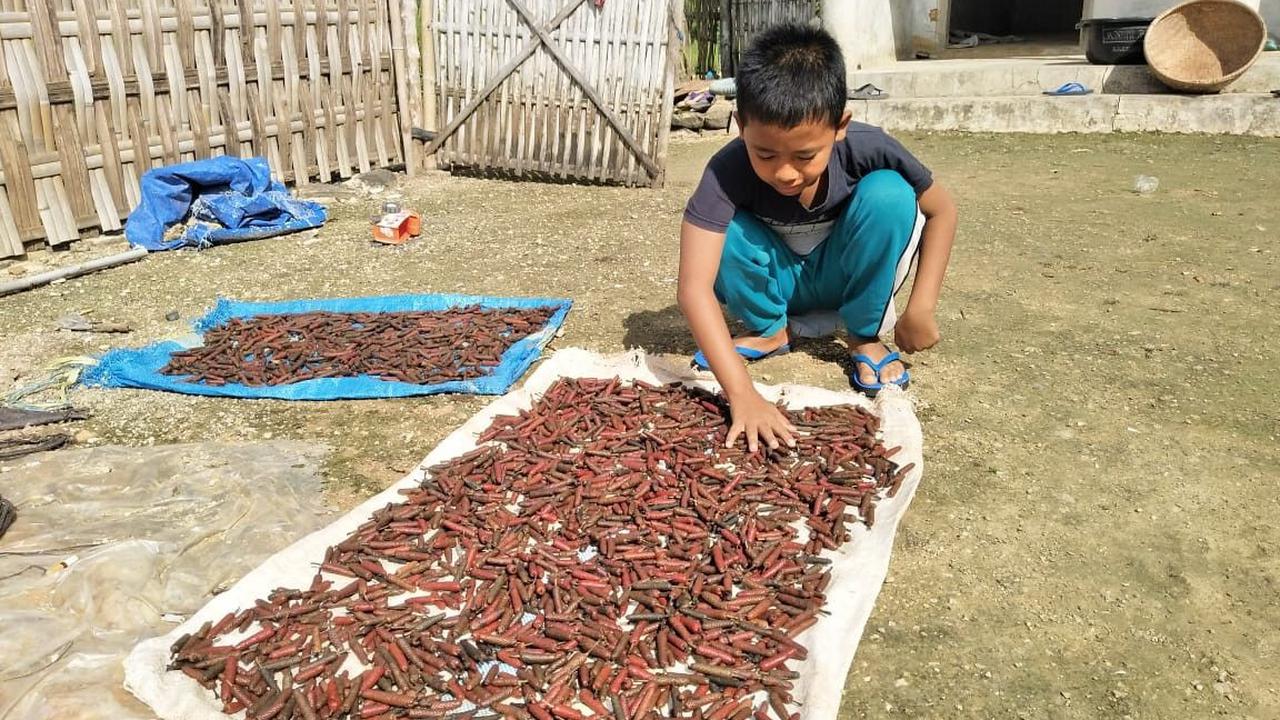 Jamu Cabe Puyang