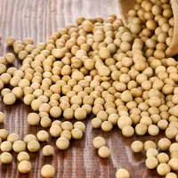 Konsumsi Kedelai Berlebih, Akibatkan Penis Kecil? (Madlen/Shutterstock)