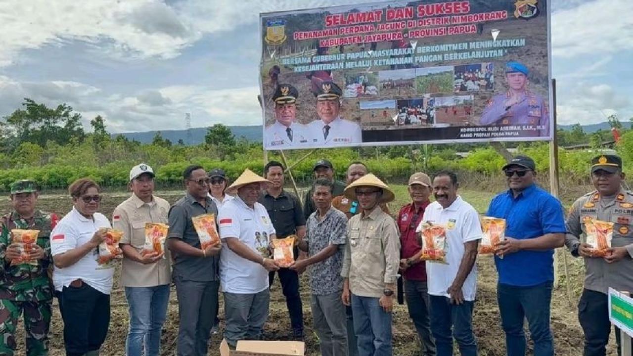 Pemprov Papua Perkuat Ketahanan Pangan Lokal Melalui Penanaman Jagung