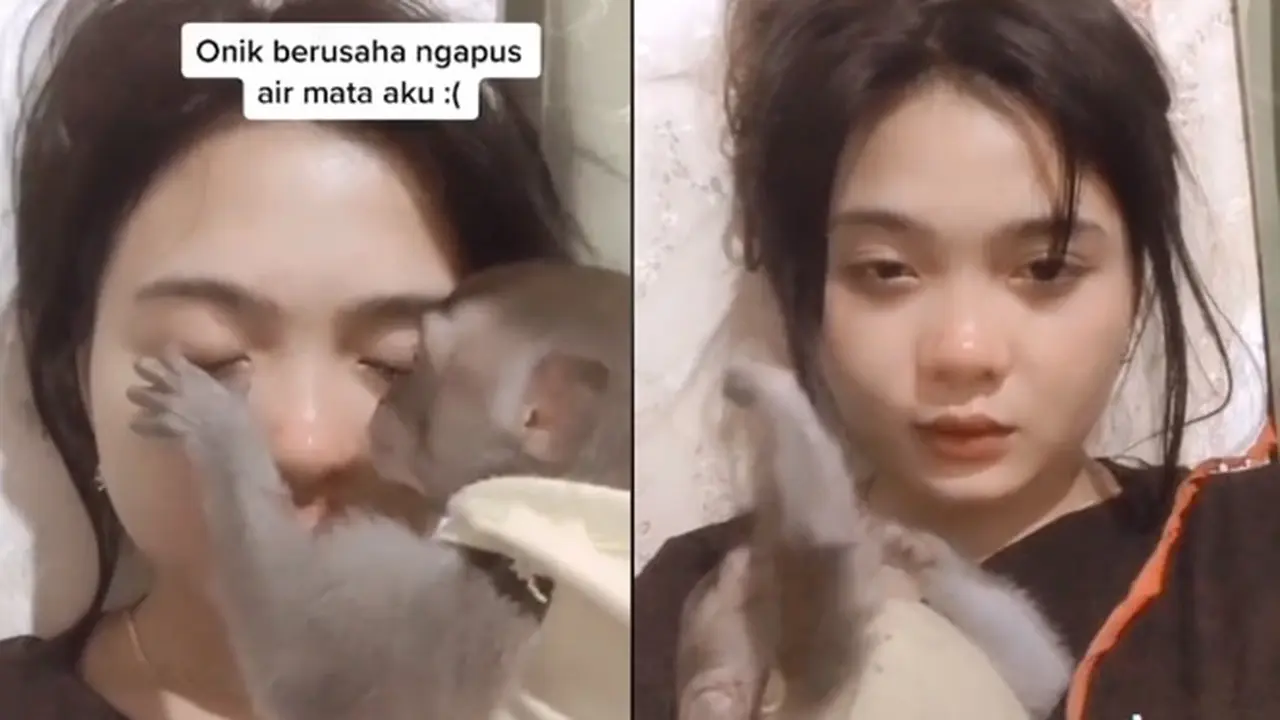Viral Cewek Pelihara Monyet, Diperlakukan dengan Baik Bak Anak Sendiri