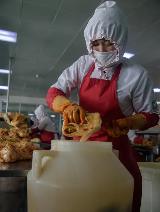 Seorang pekerja pekerja menyortir kubis di lini produksi pembuatan kimchi di Pabrik Kimchi Ryugyong di Pyongyang, Korea Utara pada 1 Desember 2020. Kimchi adalah salah satu makanan tradisonal paling favorit bagi Korea dan terkenal sebagai salah satu makanan sehat di dunia. (KIM Won Jin/AFP)