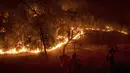 Petugas berusaha memadamkan api yang melanda kawasan California, Amerika Serikat, Sabtu (8/7). CalFire mengatakan terdapat 5 warga dan seorang petugas damkar yang terluka akibat bencana tersebut. (AP Photo / Noah Berger)