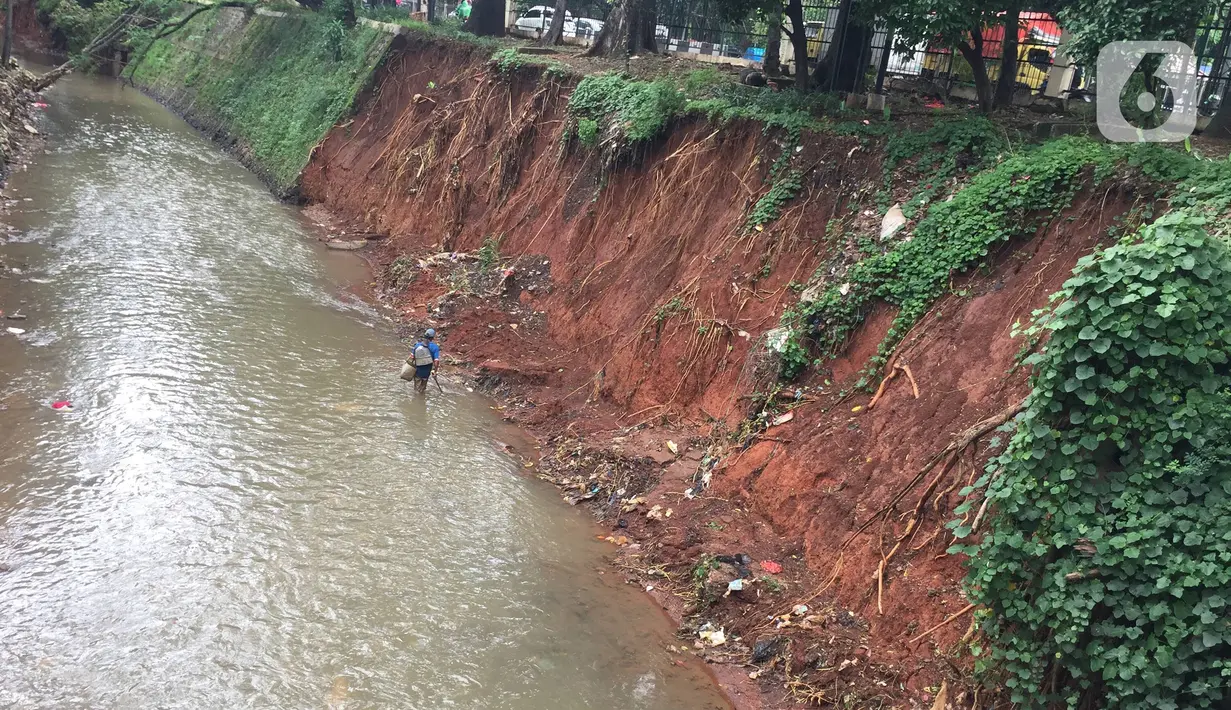 Kondisi dinding Kali Baru yang longsor di Jalan Raya Bogor, Kramat Jati, Jakarta Timur, Jumat (10/1/2020). Longsor yang terjadi akibat banjir beberapa waktu lalu tersebut berpotensi menyebabkan longsor susulan akibat tidak adanya turap yang menahan dinding kali. (Liputan6.com/Immanuel Antonius)