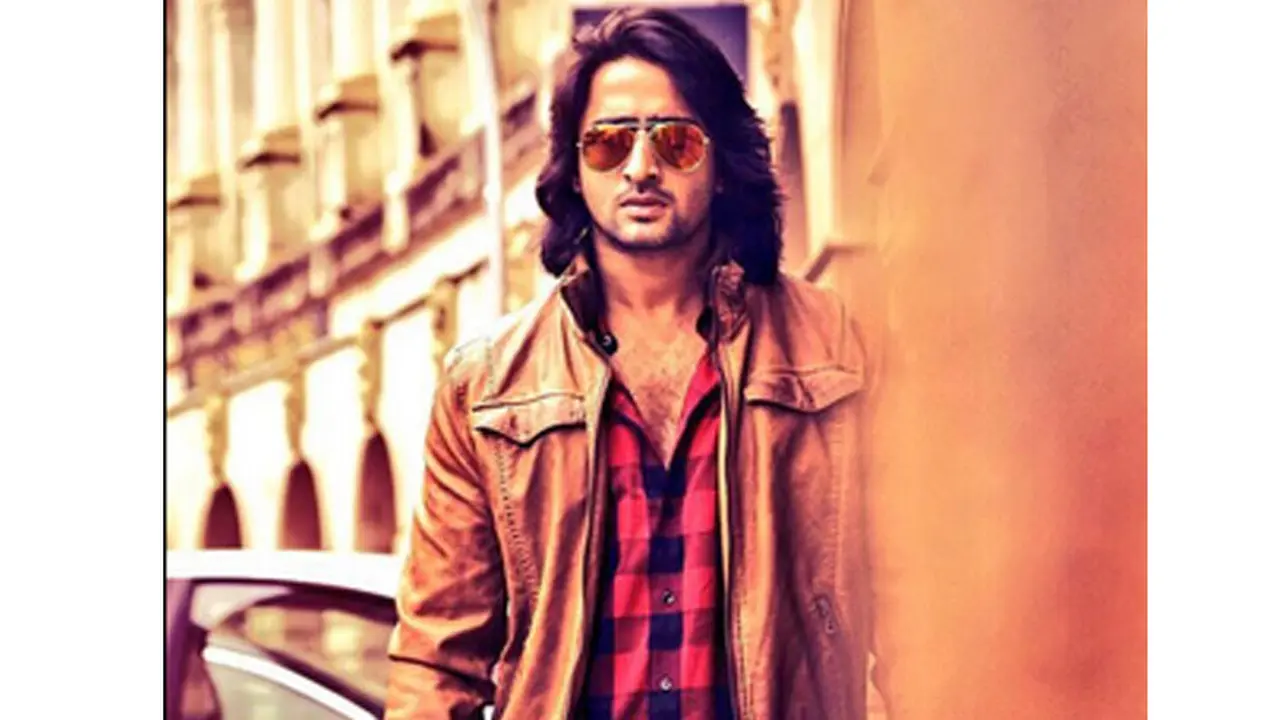 Shaheer Sheikh 