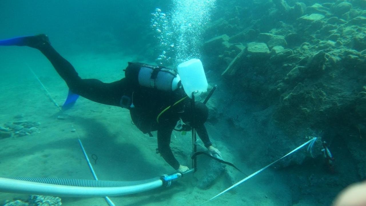 Arkeolog Temukan Pelabuhan Yunani Kuno di Bawah Laut, Puing-puing Aslinya Masih Terjaga