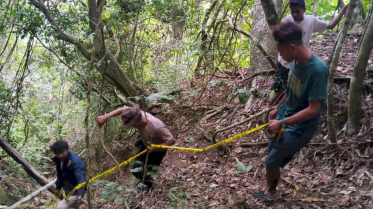 Dikira Pergi Merantau, Pemuda Ende Ditemukan Tinggal Tulang Belulang di Jurang
