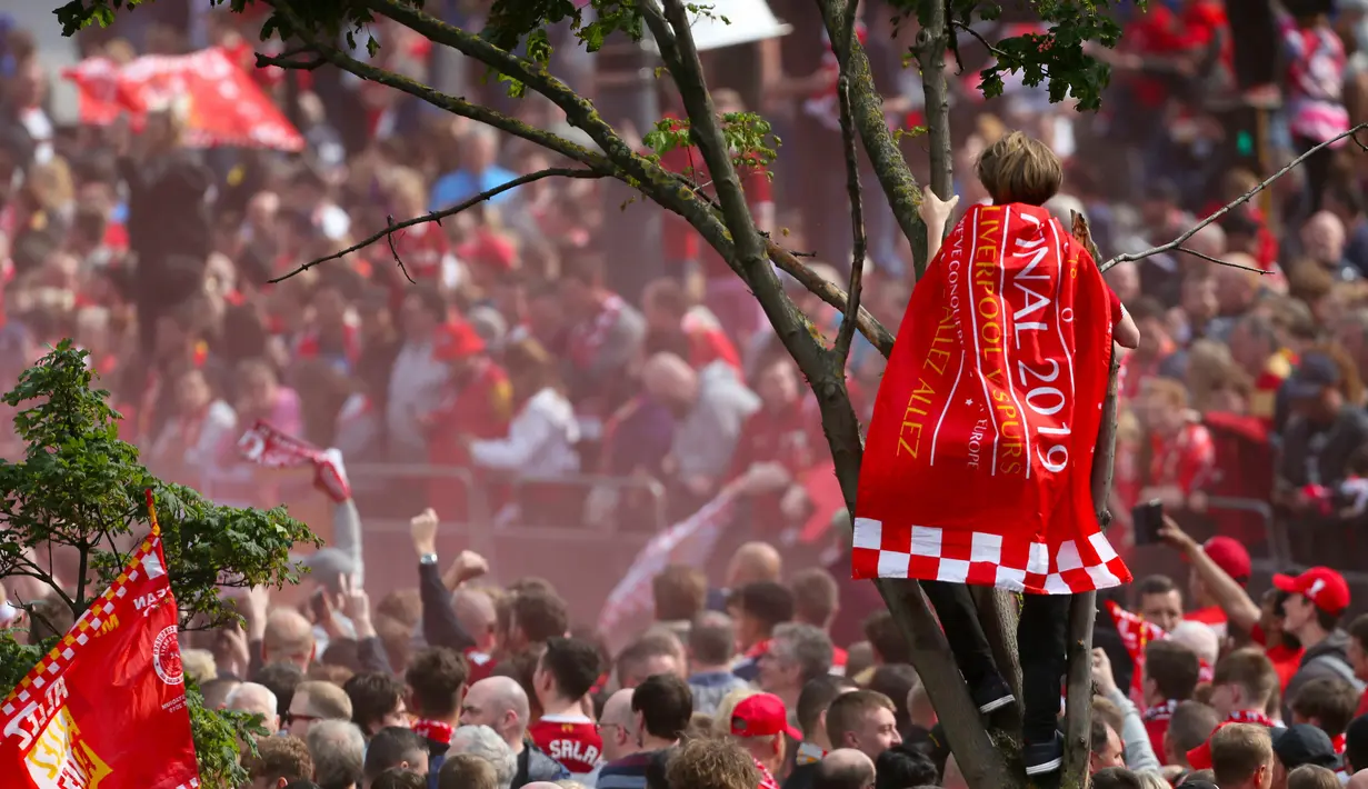 Seorang suporter menaiki pohon menyambut kedatangan pemain Liverpool saat parade juara Liga Champions di Liverpool, Inggris (2/6/2019). Ini merupakan gelar Liga Champions ke-6 Liverpool. (Richard Sellers/PA via AP)